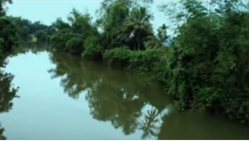MB66 vom ngày về