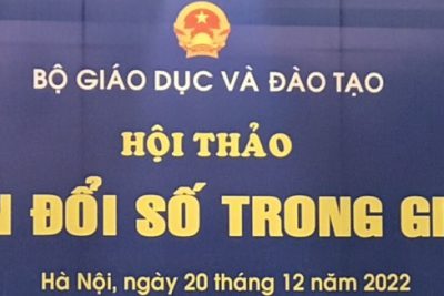 Kết quả MB 66 Đề án 06 của Sở MB6662 và code MB66 MB66 vom năm 2022