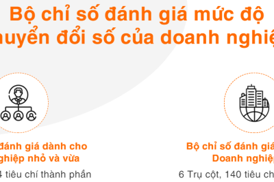 Bộ chỉ số đánh giá mức độ chuyển đổi số của doanh nghiệp