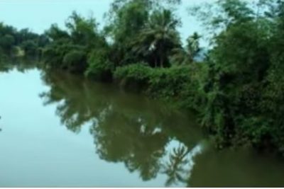 MB66 vom ngày về